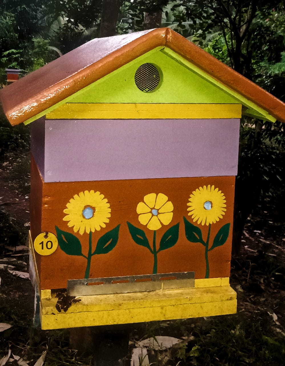 Bee Boxes