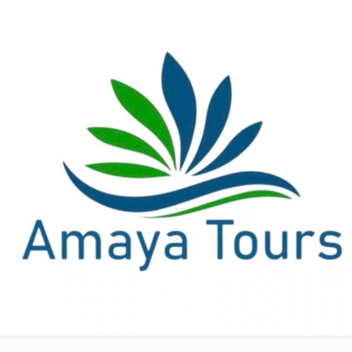 Amaya Tours