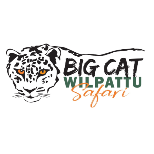 Big Cat Wilpattu
